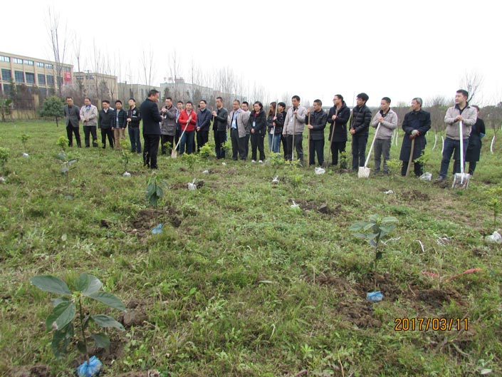 J9集团-国际站最新官网