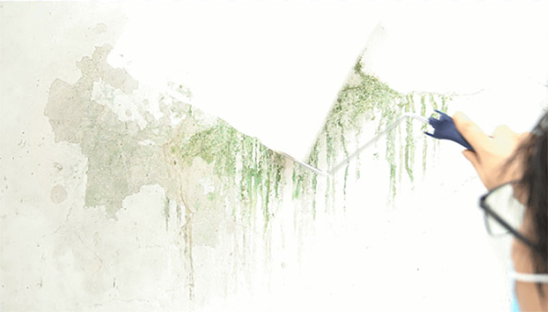 J9集团-国际站最新官网